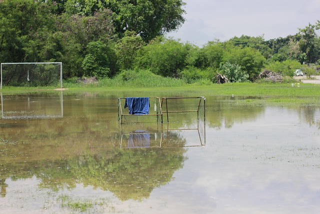项运动充满 项运动充满