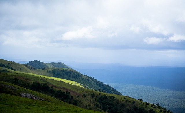 在墨西哥高 在墨西哥高