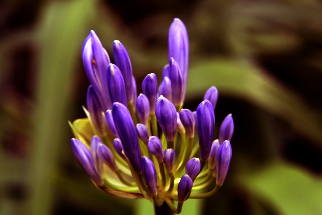 能扳平比分 能扳平比分