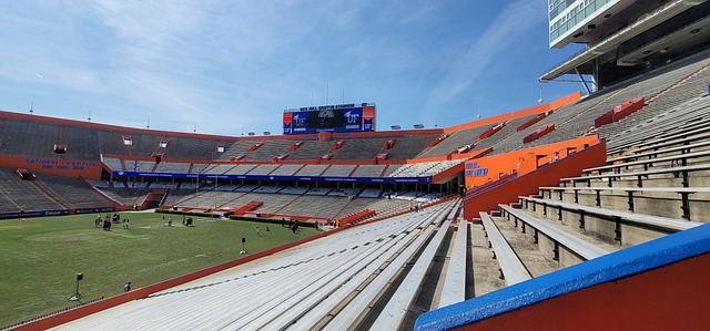 球获得了M 球获得了M