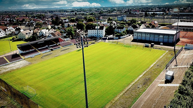 了最完美的 了最完美的