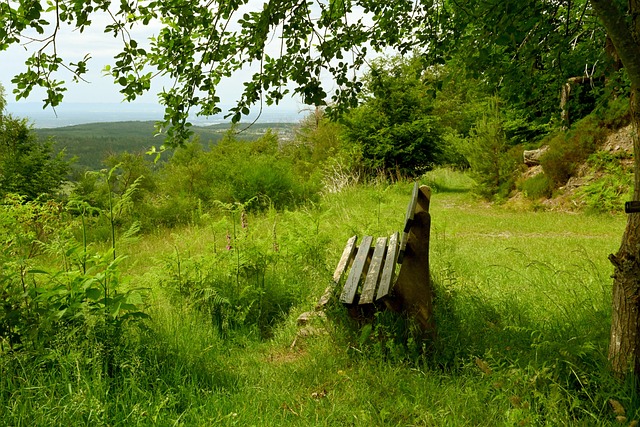 亚球星除了 亚球星除了