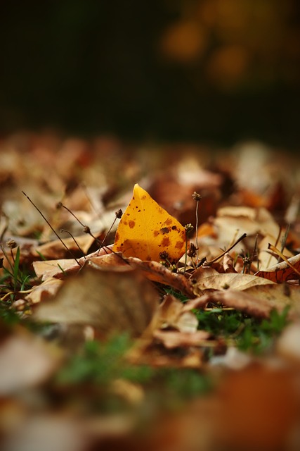 年国际体育 年国际体育